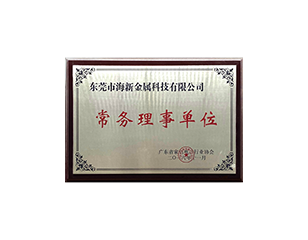 permanent member of council