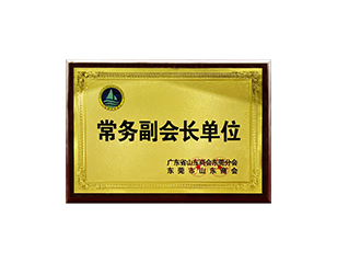 Executive Vice President Unit