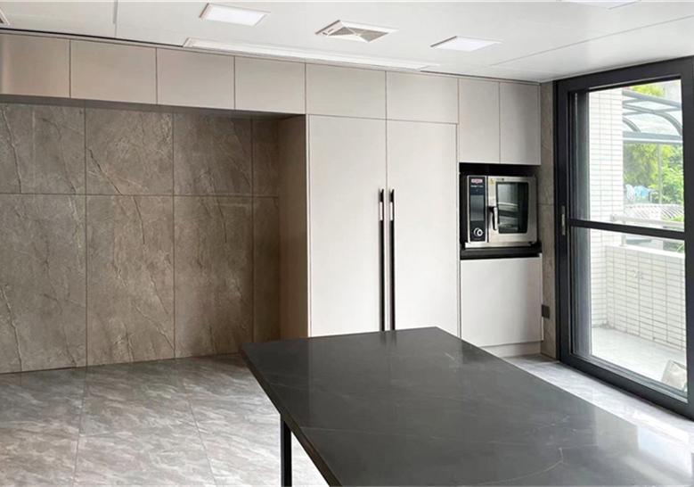 Modern Minimalist Kitchen