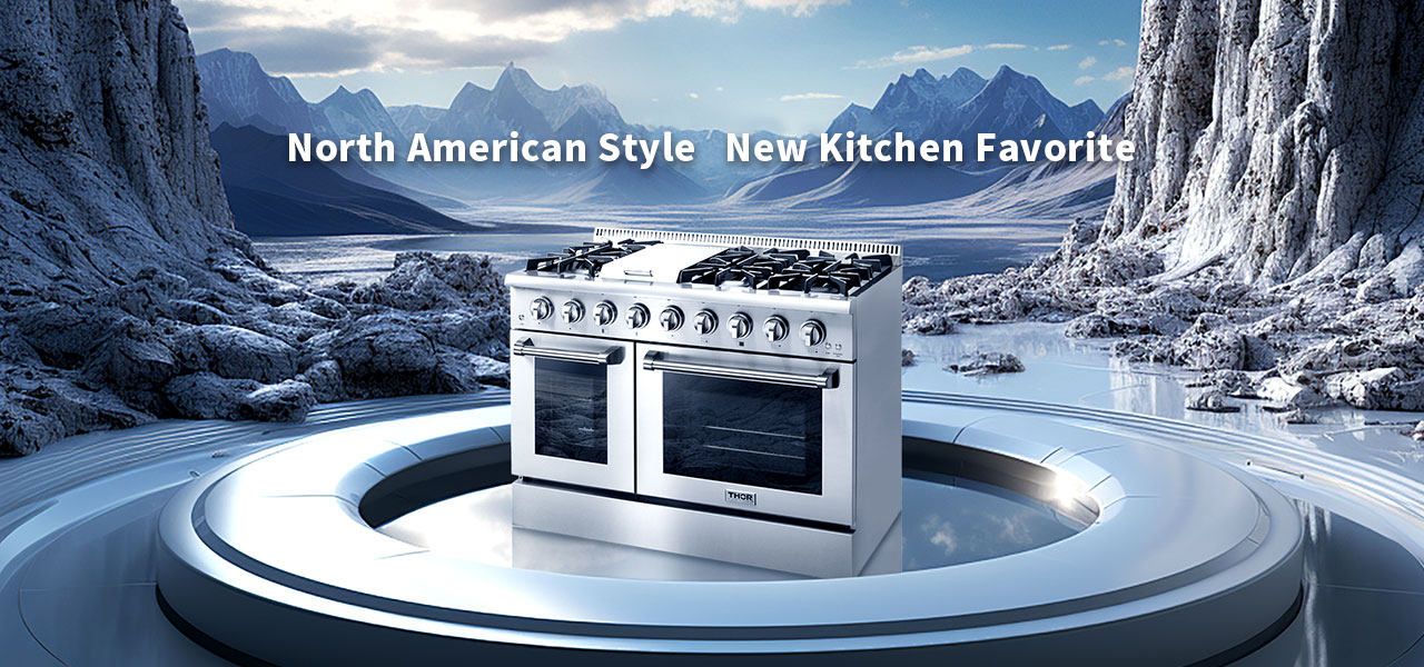 Stainless steel stove surface-HRG4808U